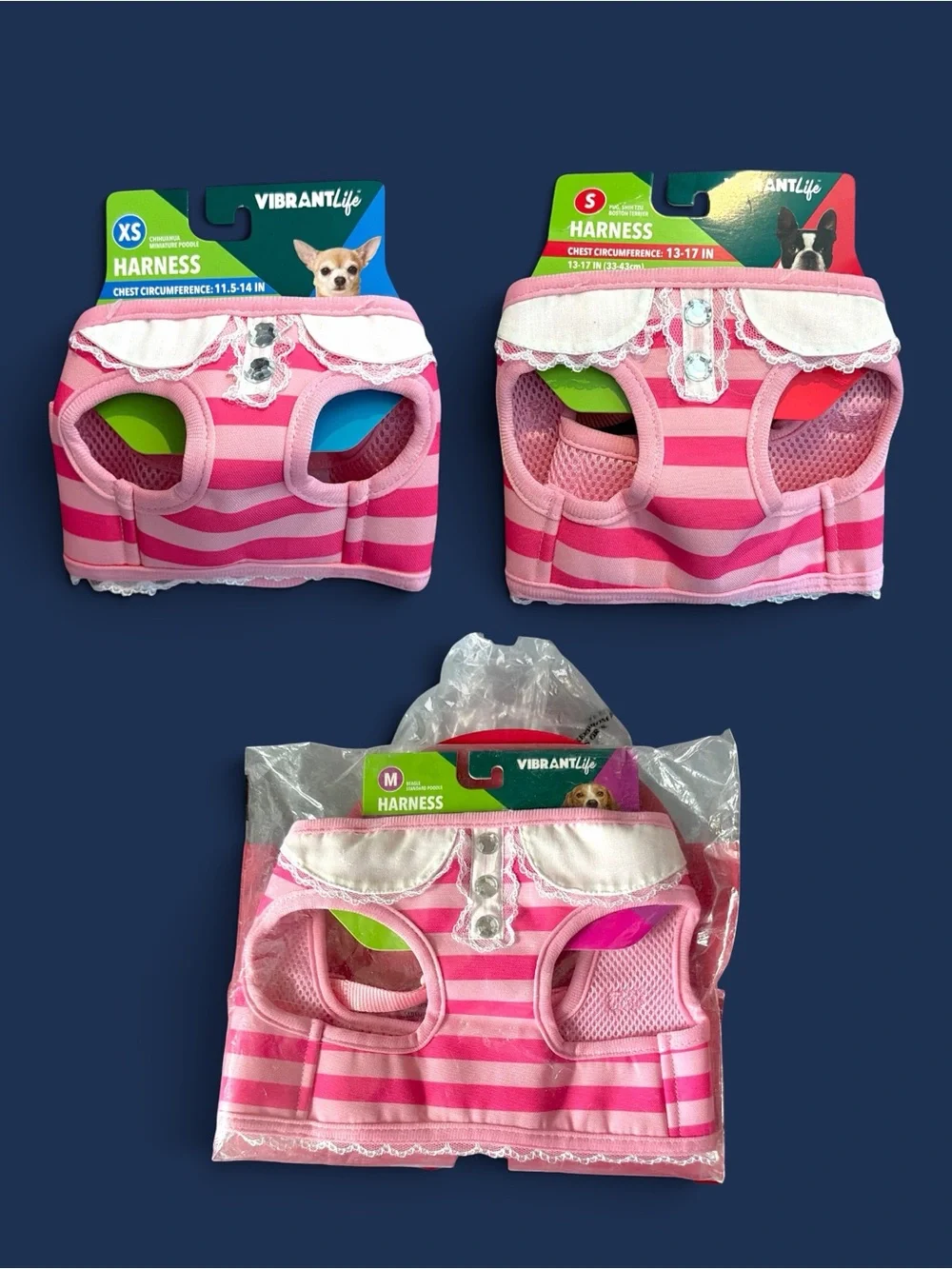 Vibrant Life Pink Stripe Dog Harness